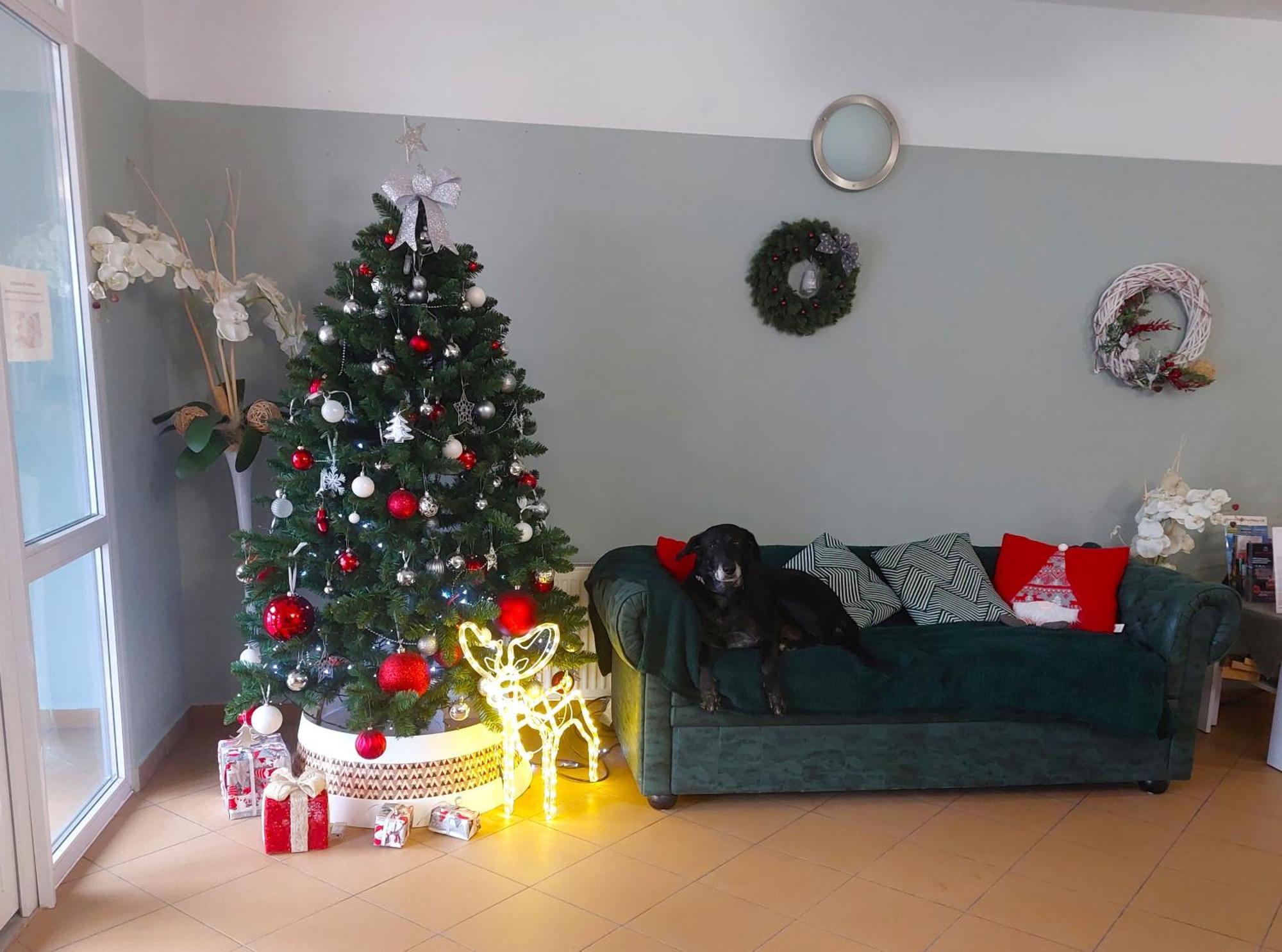 Rezydencja Korab Miedzyzdroje Exteriér fotografie